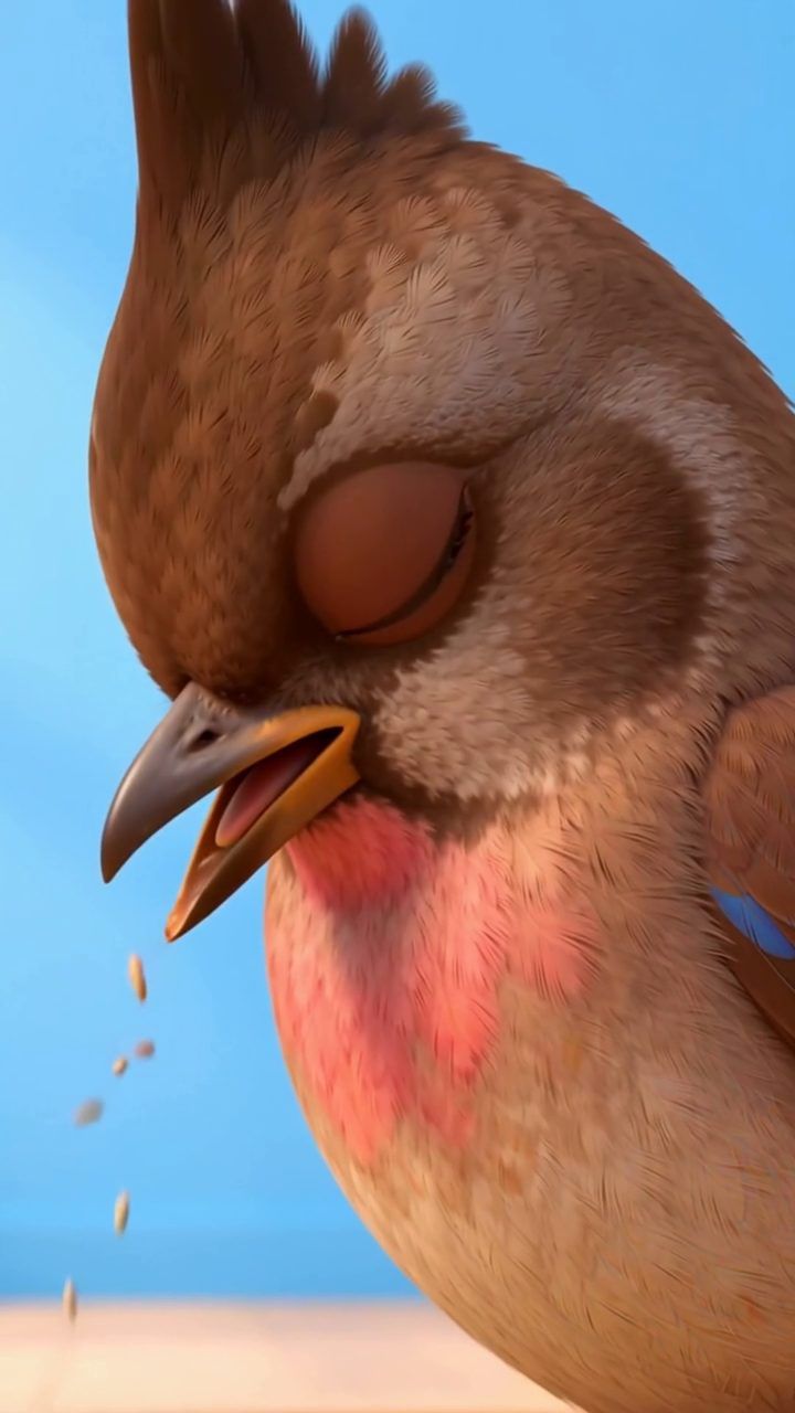 Bulbul, the one who sings